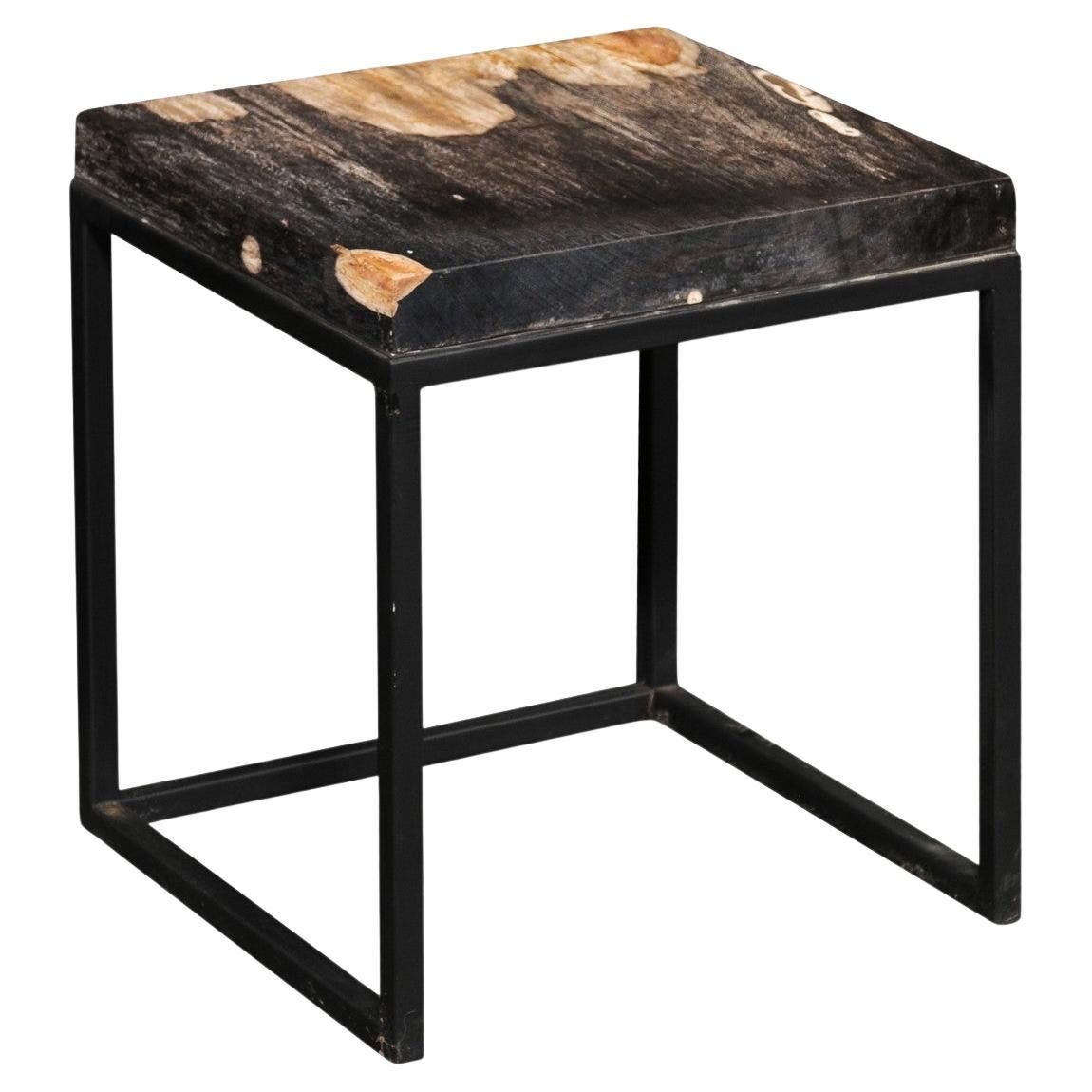 Black 
Tan Petrified Wood Top Side Table w/Iron Base For Sale