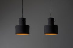 Black Terracotta "Plant Light" Pendant by Artiforte, Netherlands, 1950s
