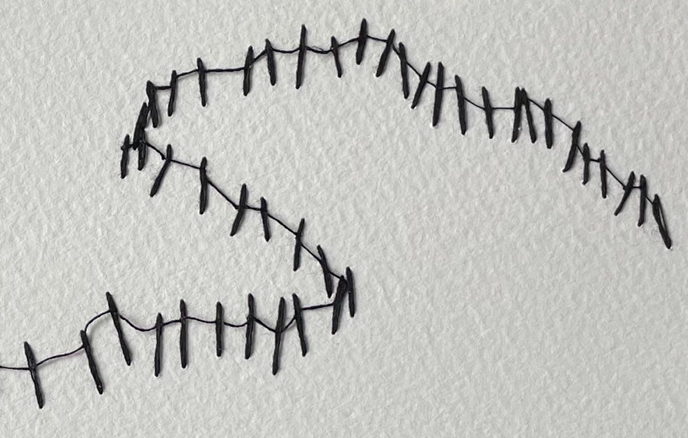 Schwarzer Faden auf weißem Grund Zaun-Design-Kunstwerk von Krystyna Pieter, England im Zustand „Neu“ im Angebot in New York, NY