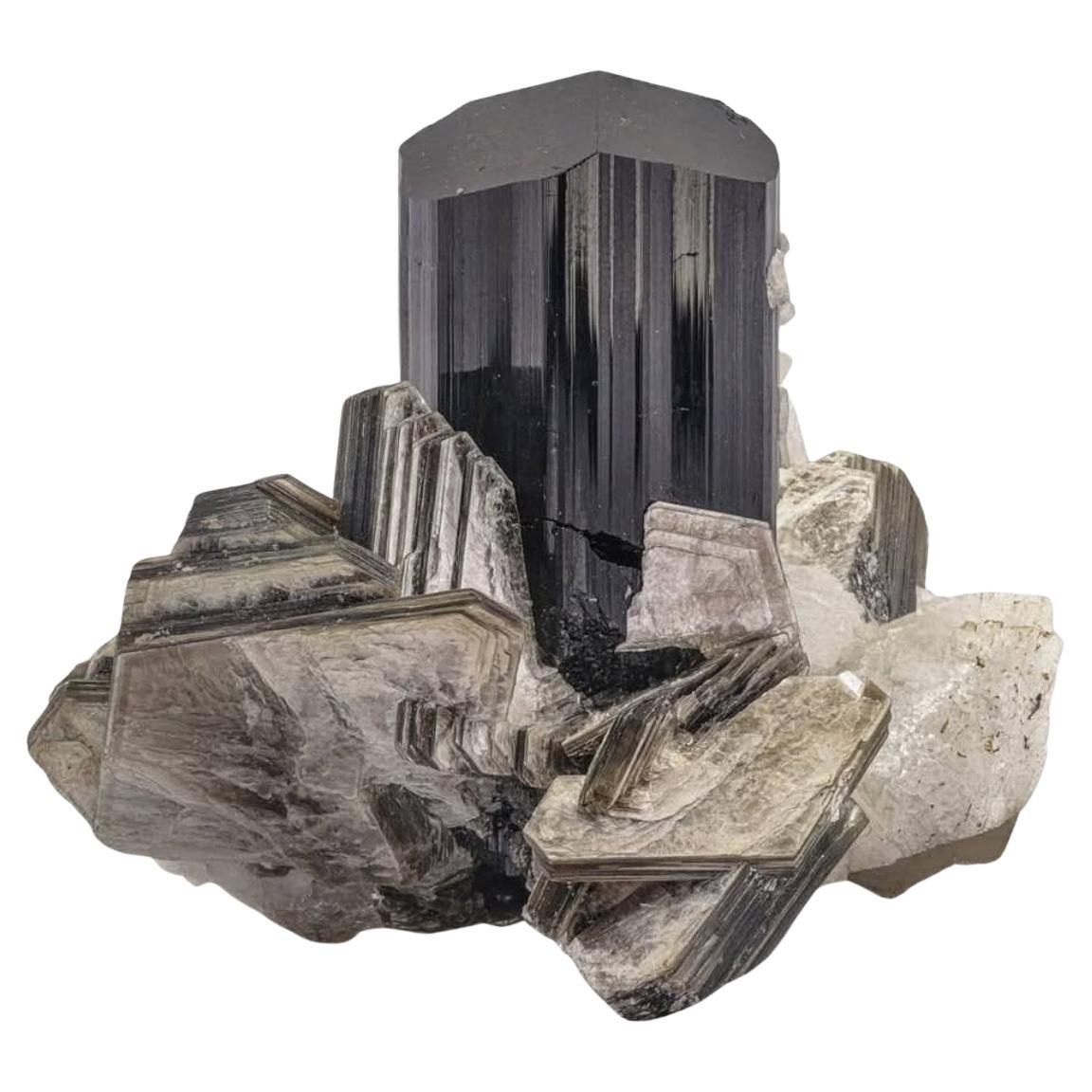 Black Tourmaline Crystal On Muscovite With Spessertine Garnet From Pakistan