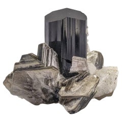 Black Tourmaline Crystal On Muscovite With Spessertine Garnet From Pakistan