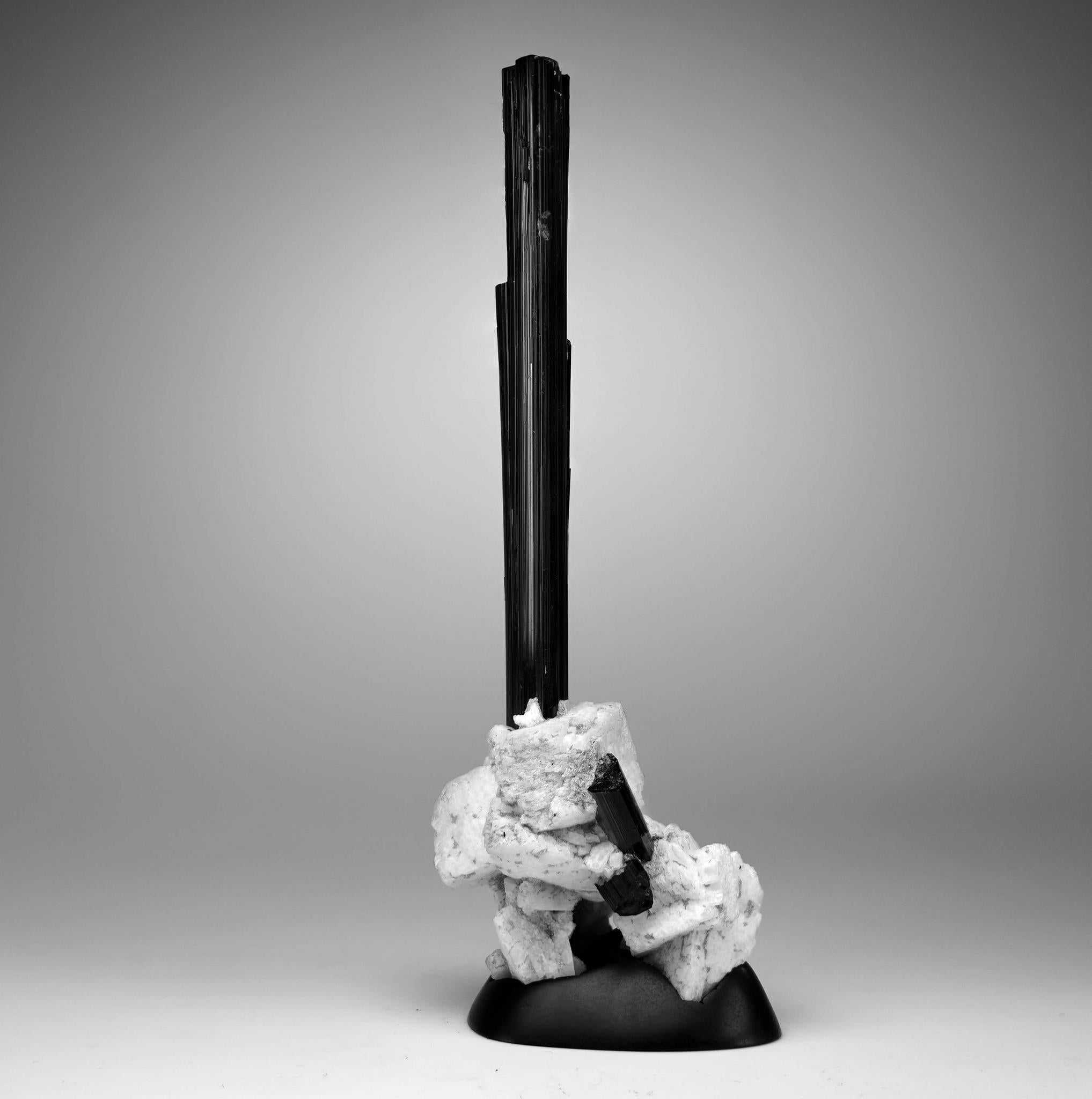 Black Tourmaline With Albite on Custom Stand For Sale 1