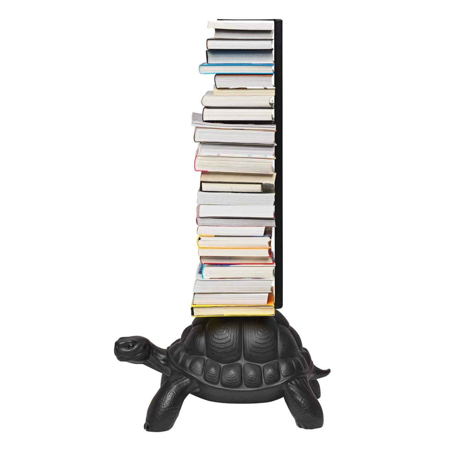 turtle carry bookcase