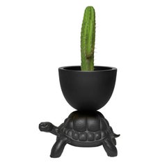 Black Turtle Carry Planter / Champagne Cooler, Designed by Marcantonio