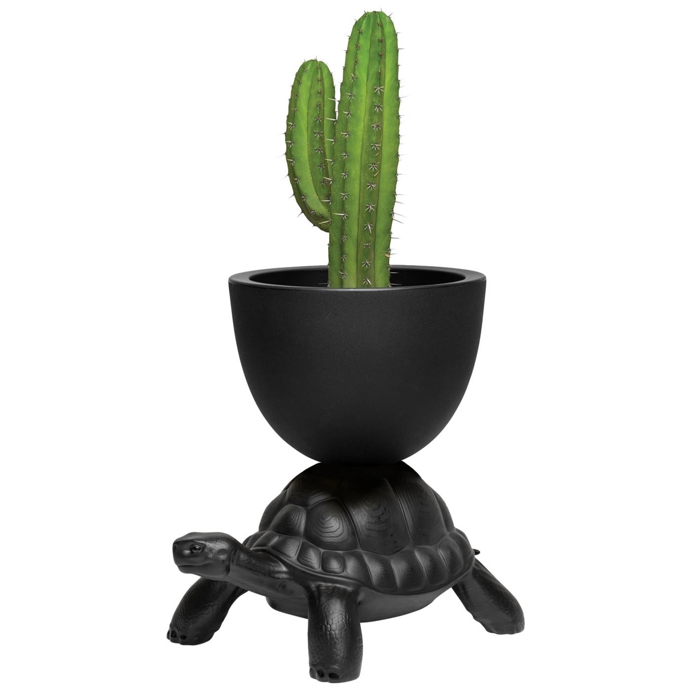 Black Turtle Carry Planter / Champagne Cooler, Designed by Marcantonio For Sale