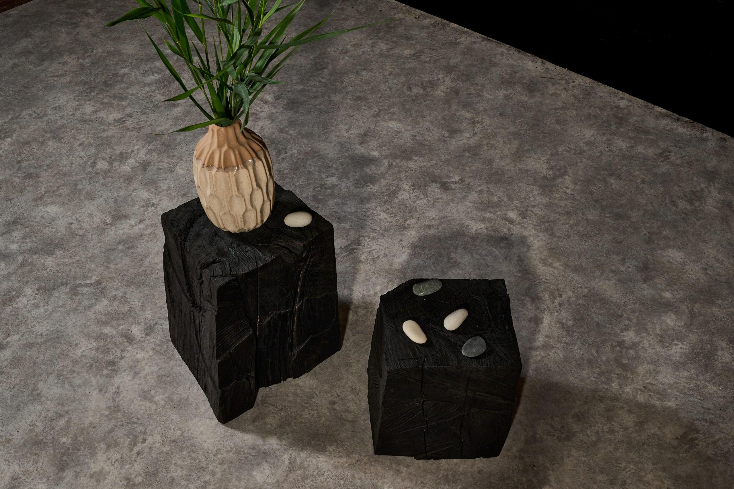Set of Two Black Vintage Brutalist Style Coffee Tables in Solid Wood In New Condition For Sale In Burlăceni, Cahul District
