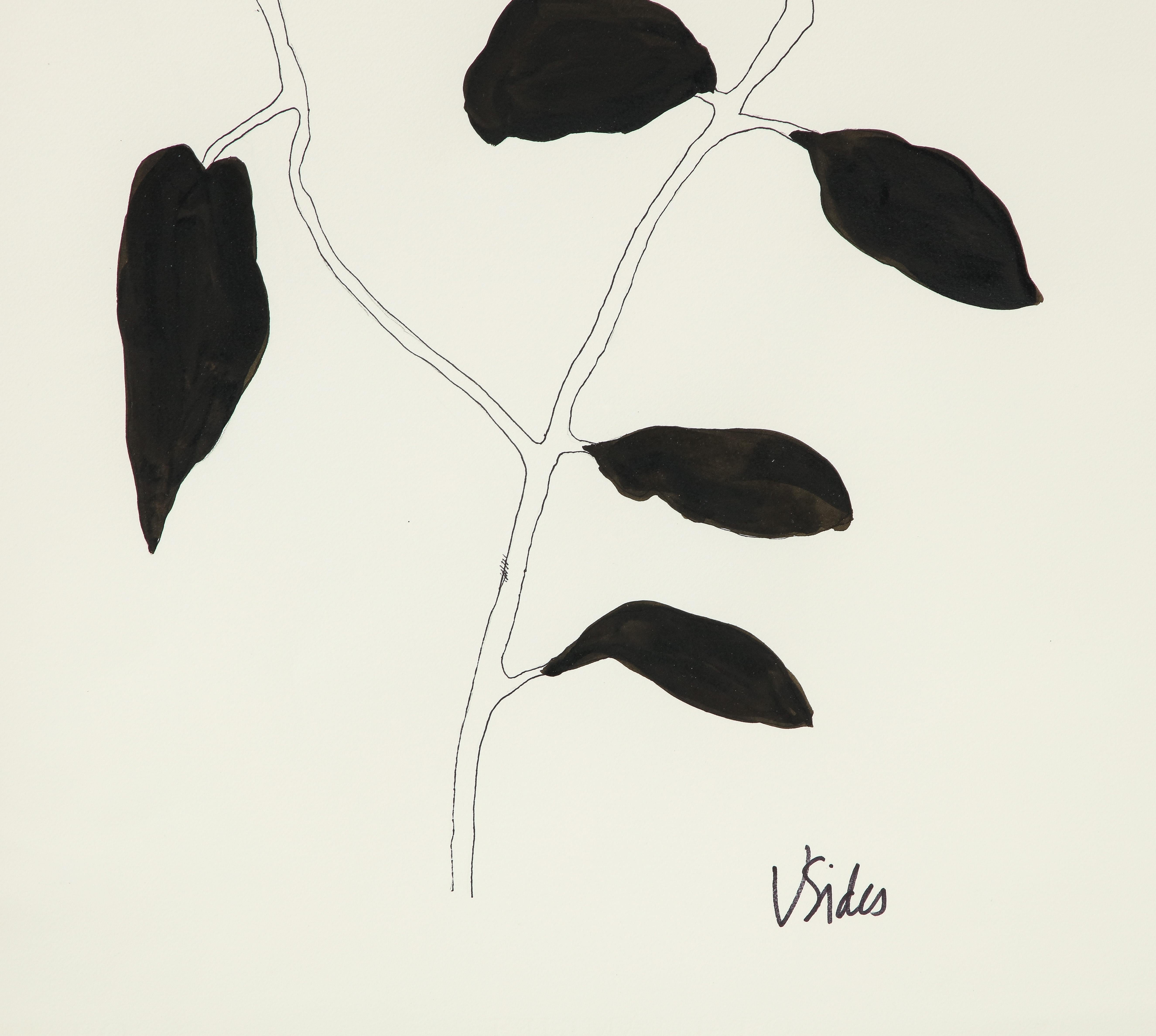 Black & White Botanical Works on Paper For Sale 7