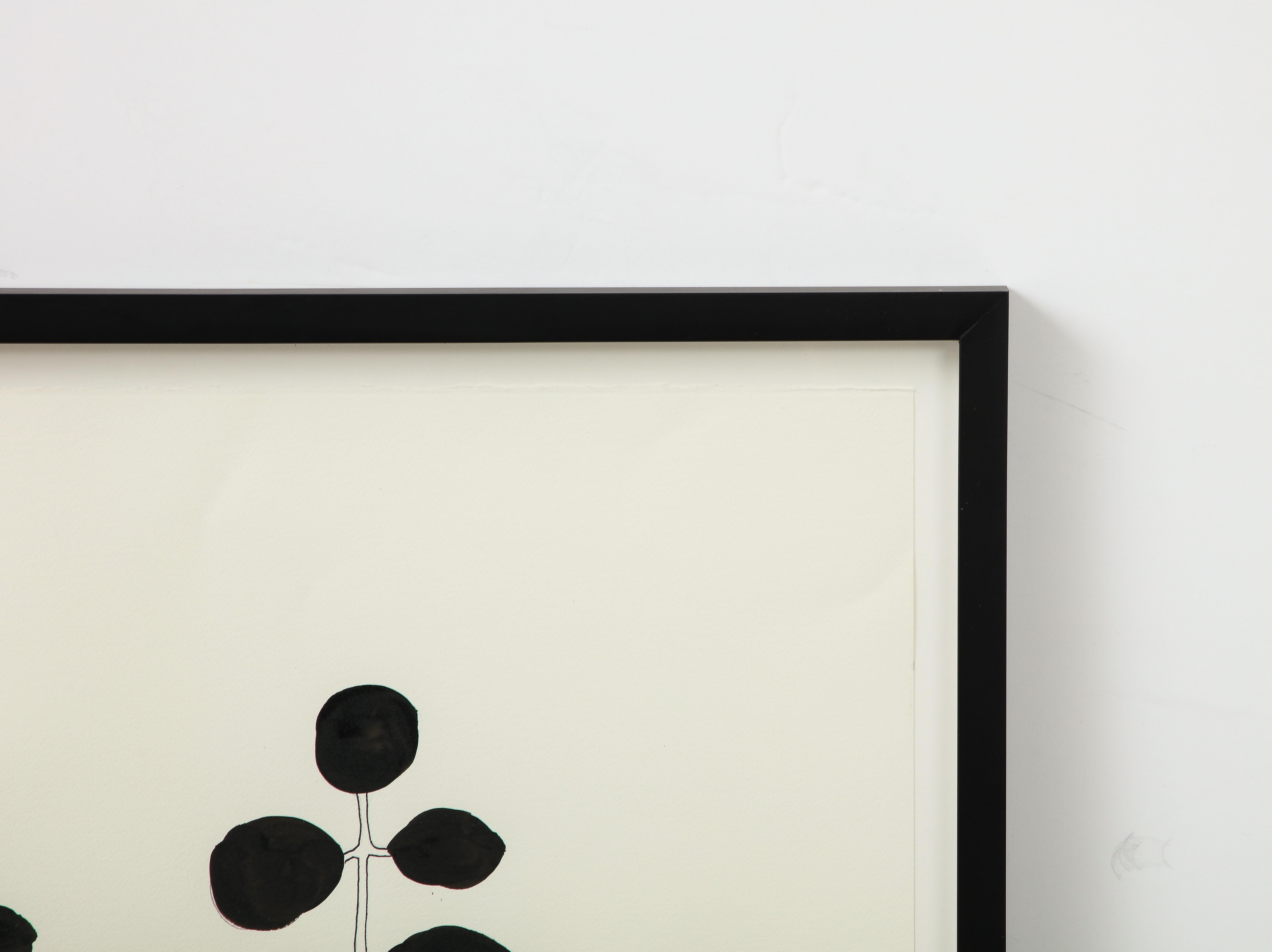 Contemporary Black & White Botanical Works on Paper For Sale