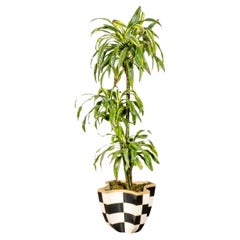 Black + White Checker Pottery Planter by Gary Di Pasquale