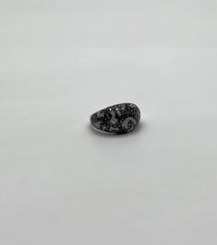 Black White Diamonds Pave Set 14K White Gold Statement Cocktail Unique Ring