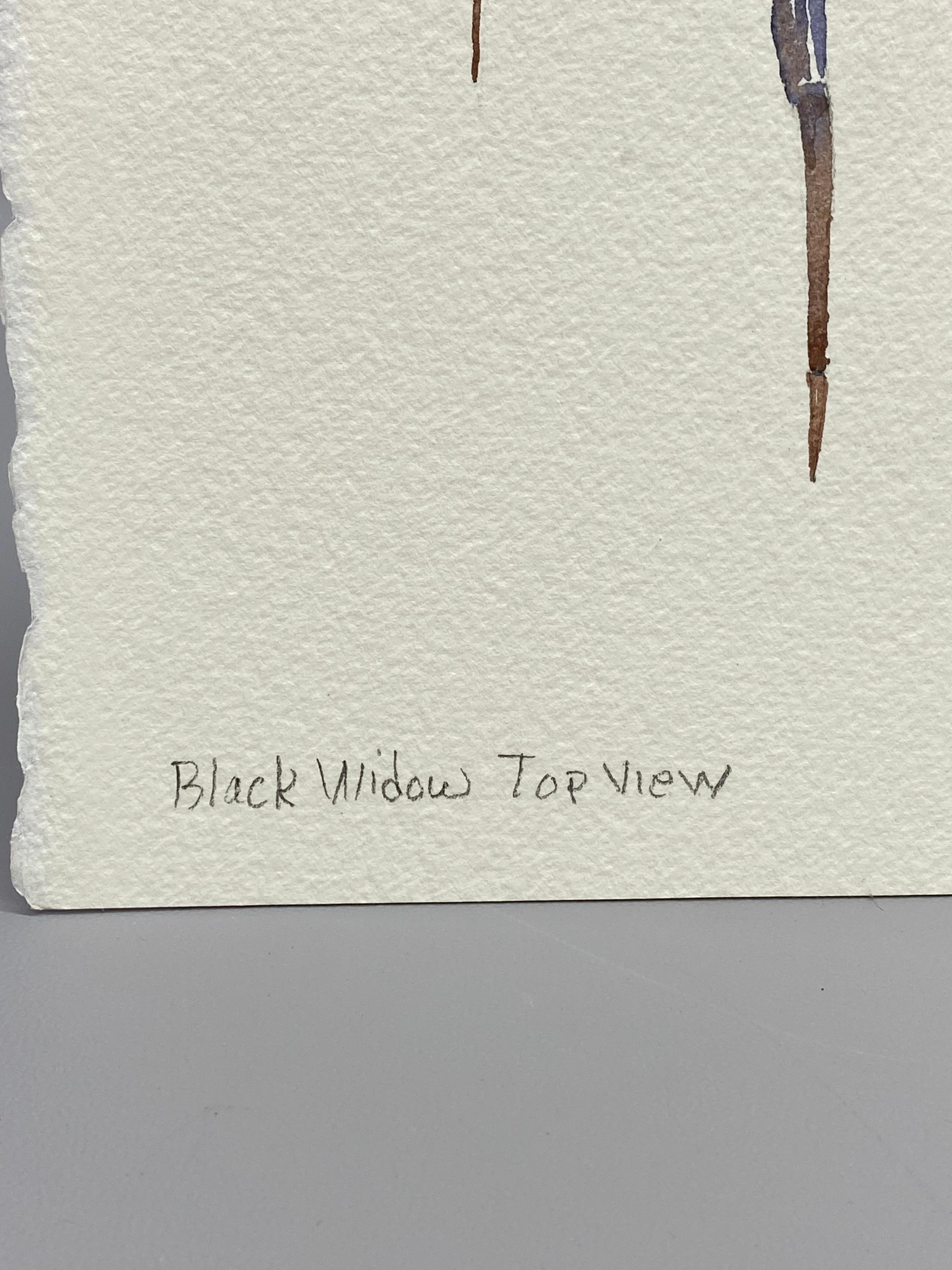 Black Widow Watercolor Painting by Jim Adair For Sale 3