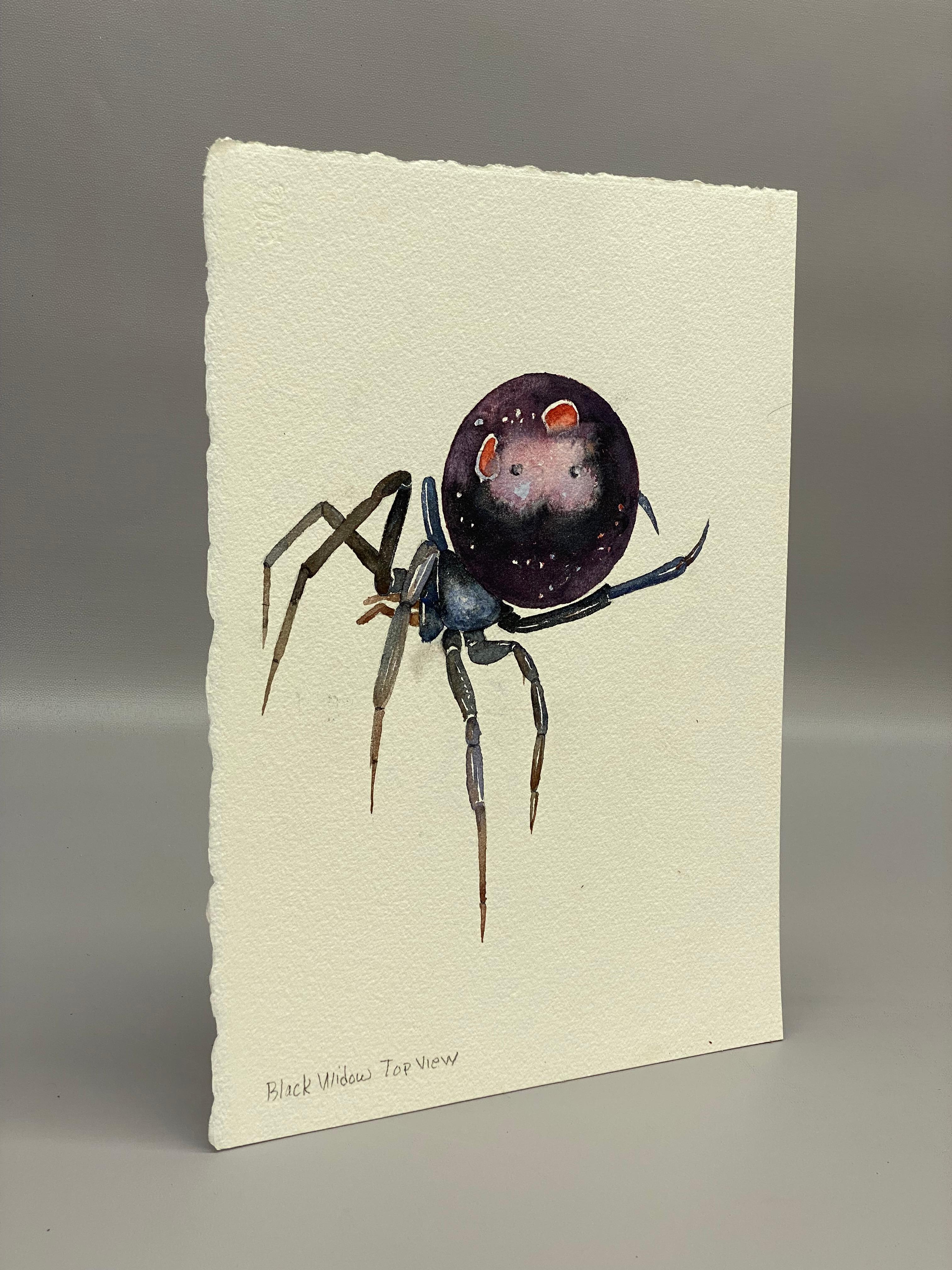 Watercolor on paper entitled Black Widow Top View by Jim Adair. Inscribed lower left. 

All of Jim Adair's work was purchased straight from his country home in New Paltz, New York, Ulster County. Adair was an ad, marketing and design man that