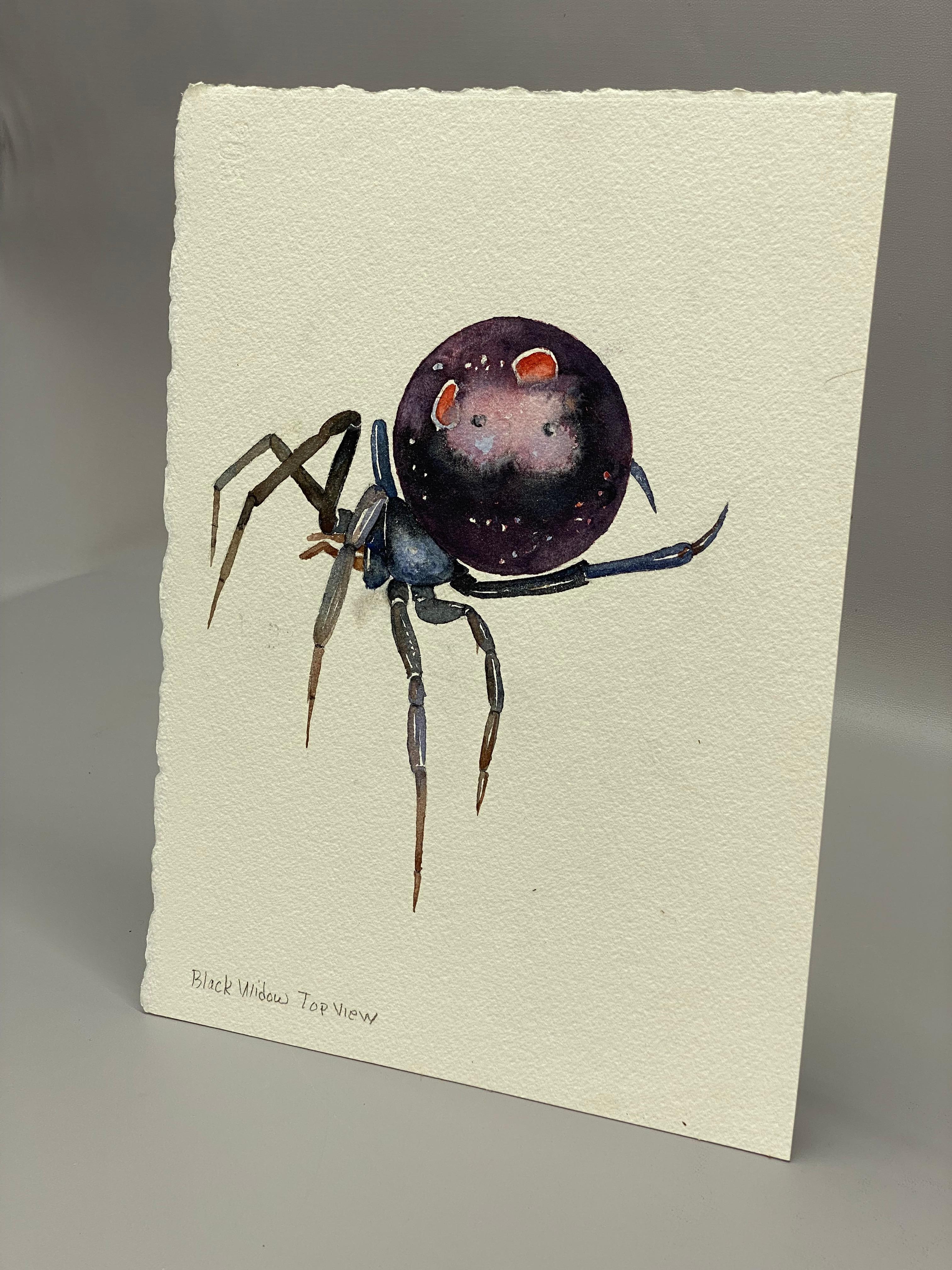 Rustic Black Widow Watercolor Painting by Jim Adair For Sale
