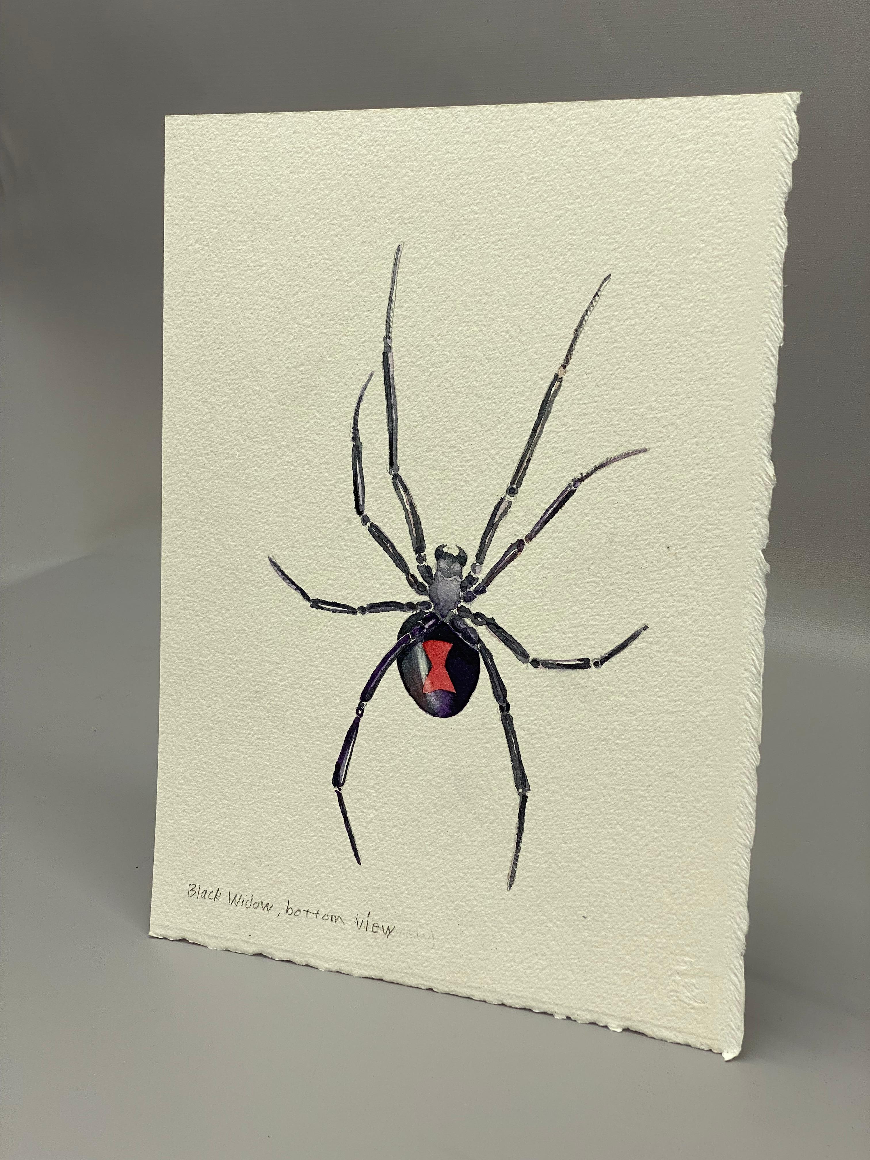 Rustic Black Widow Watercolor Painting by Jim Adair For Sale