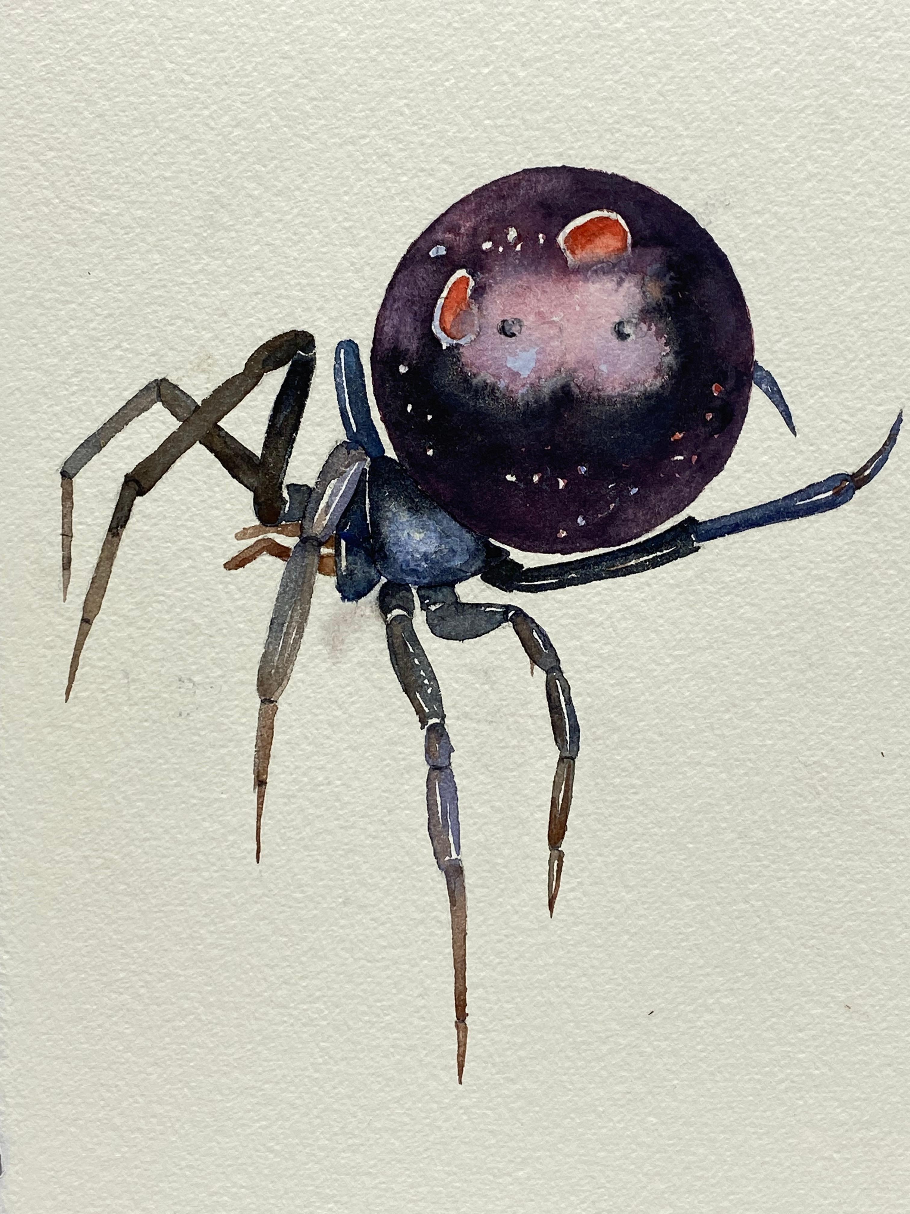 American Black Widow Watercolor Painting by Jim Adair For Sale