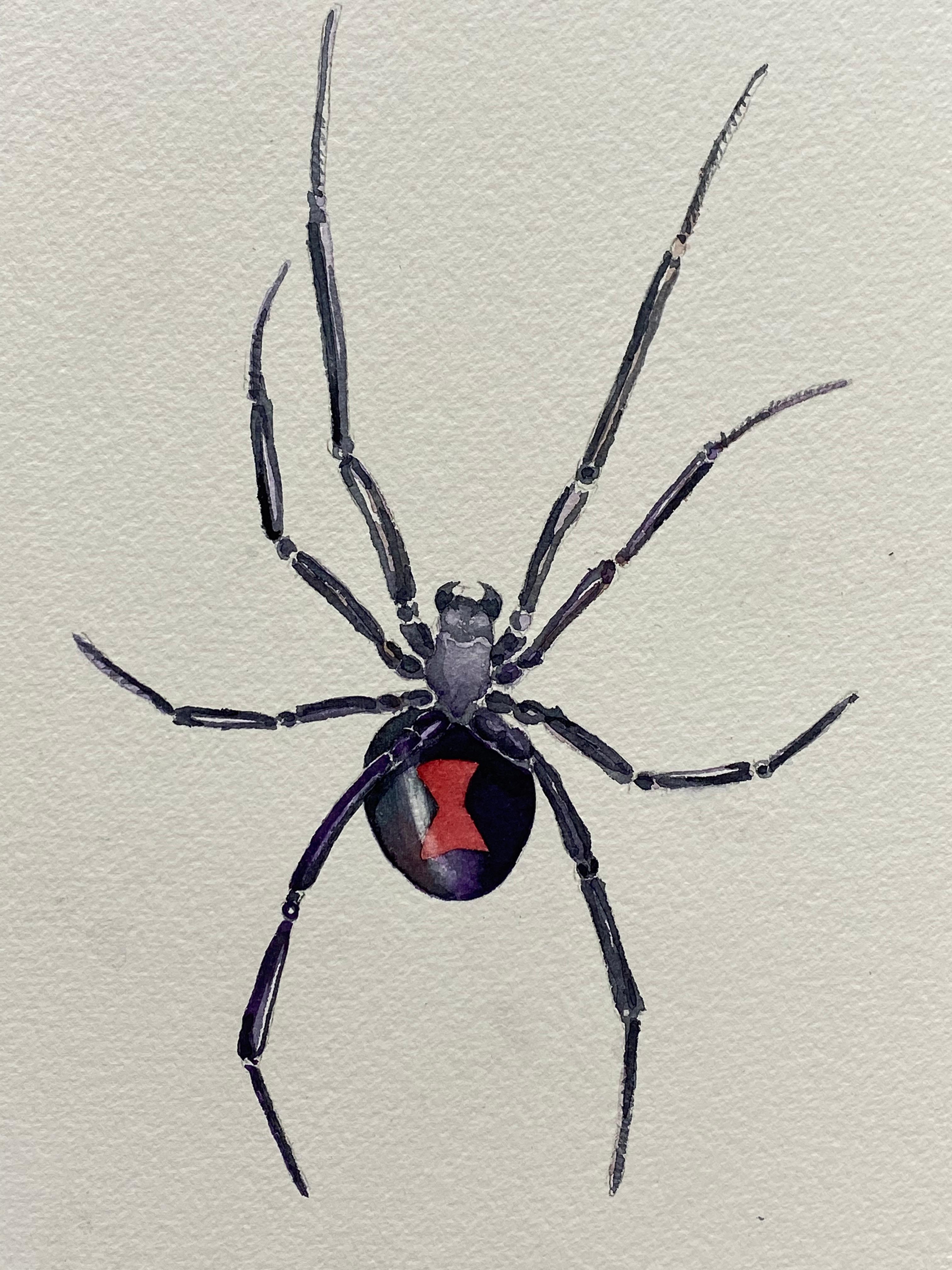 Hand-Painted Black Widow Watercolor Painting by Jim Adair For Sale