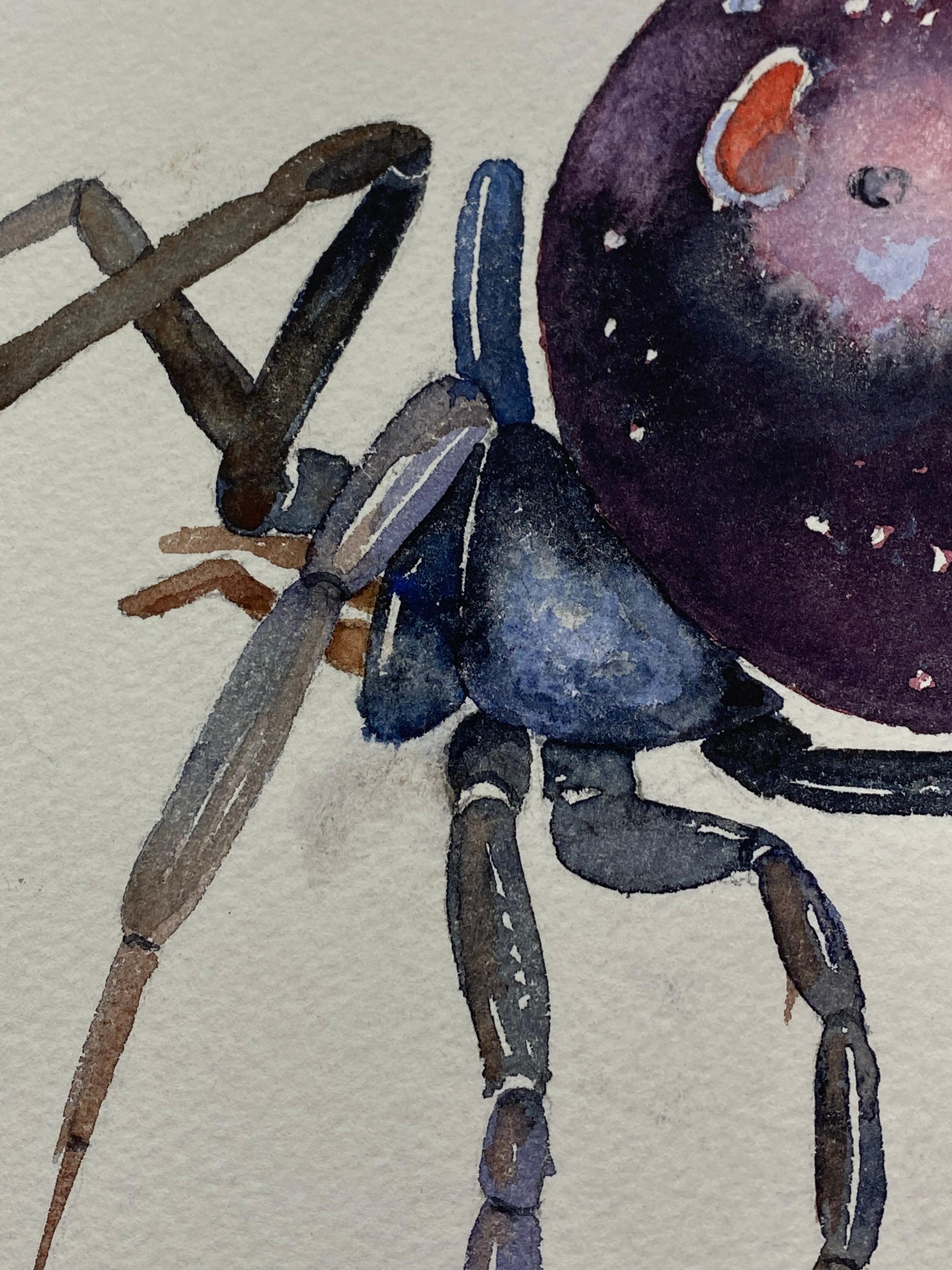 Black Widow Watercolor Painting by Jim Adair For Sale 1