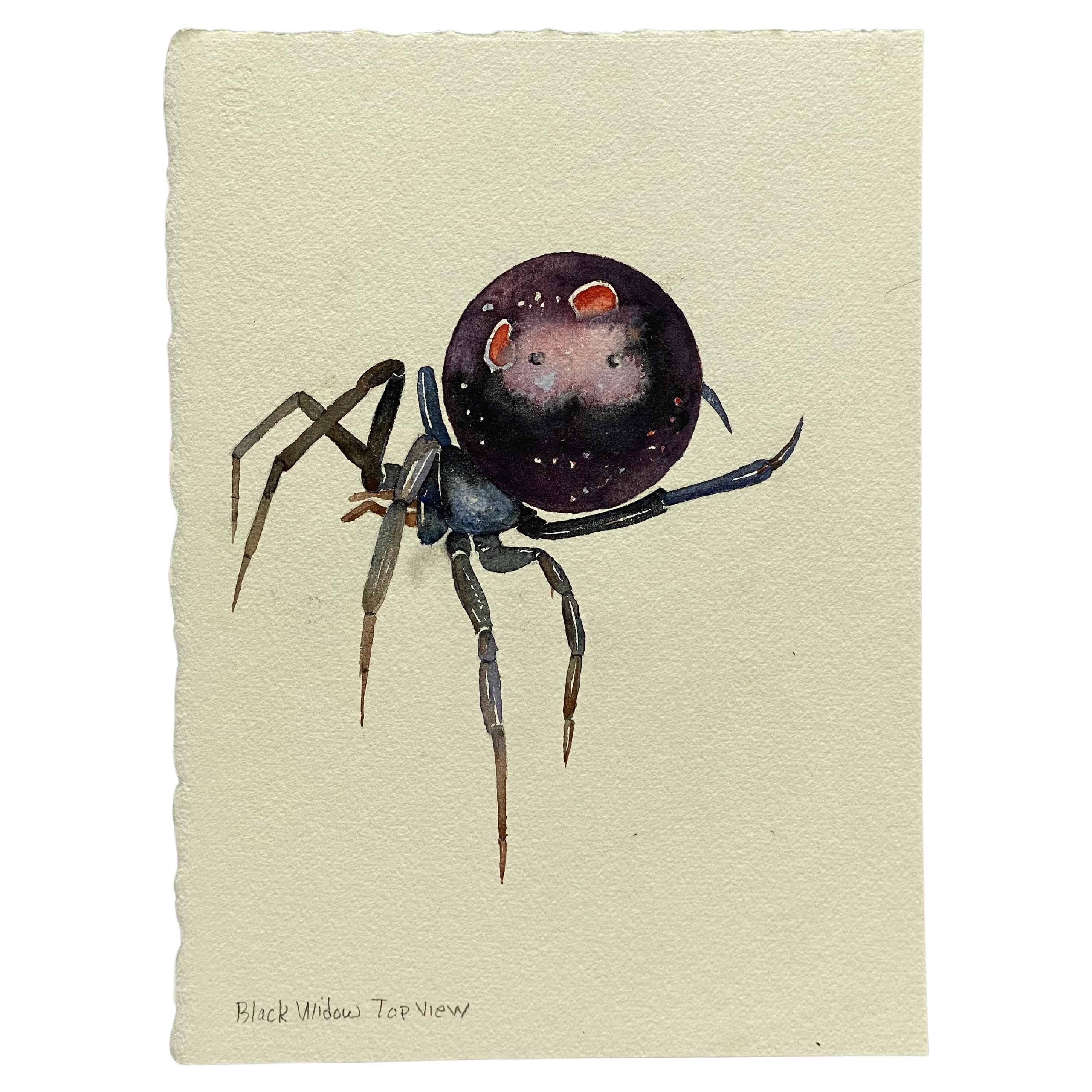Black Widow Watercolor Painting by Jim Adair For Sale