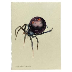Black Widow Watercolor Painting by Jim Adair