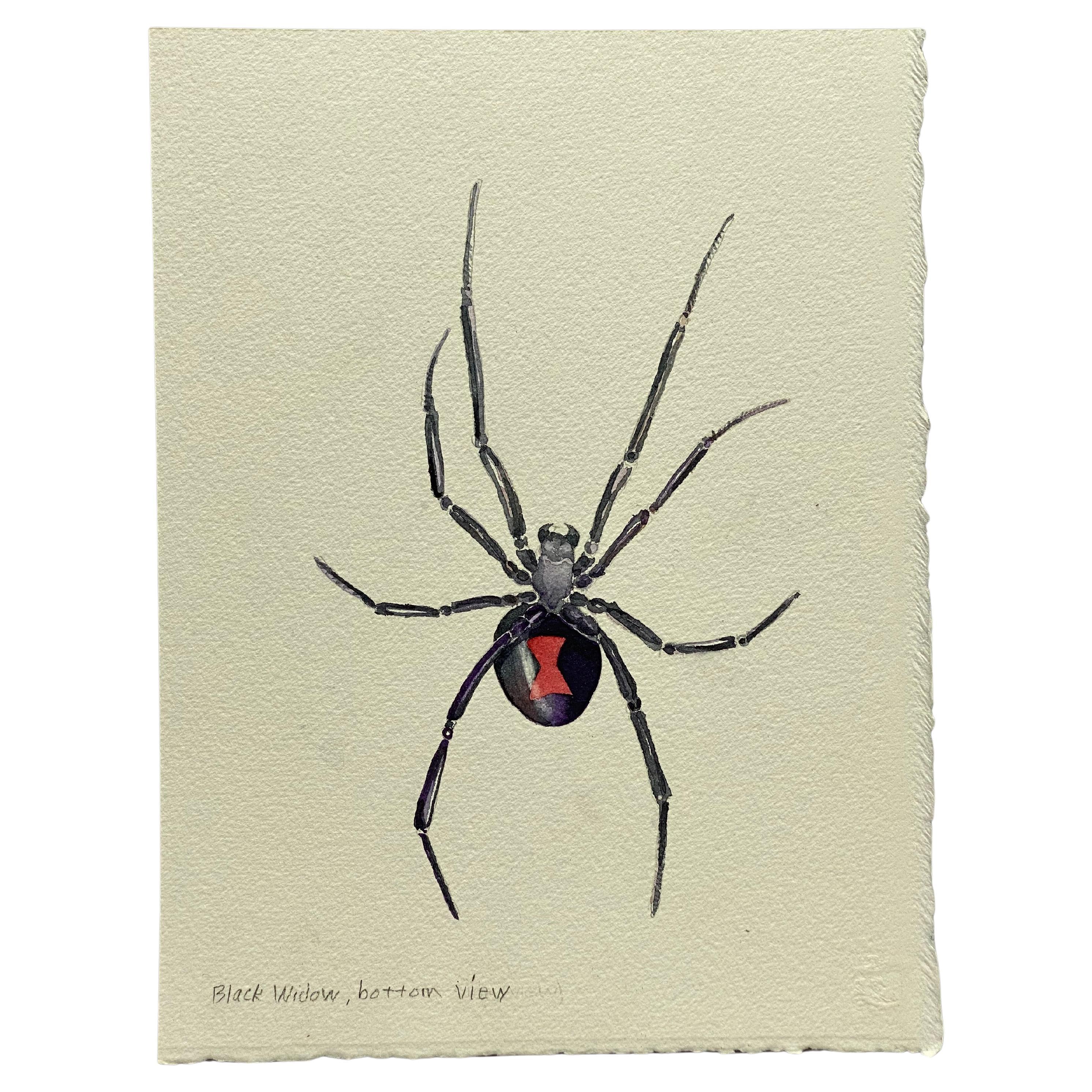 Black Widow Watercolor Painting by Jim Adair