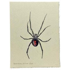 Black Widow Watercolor Painting by Jim Adair