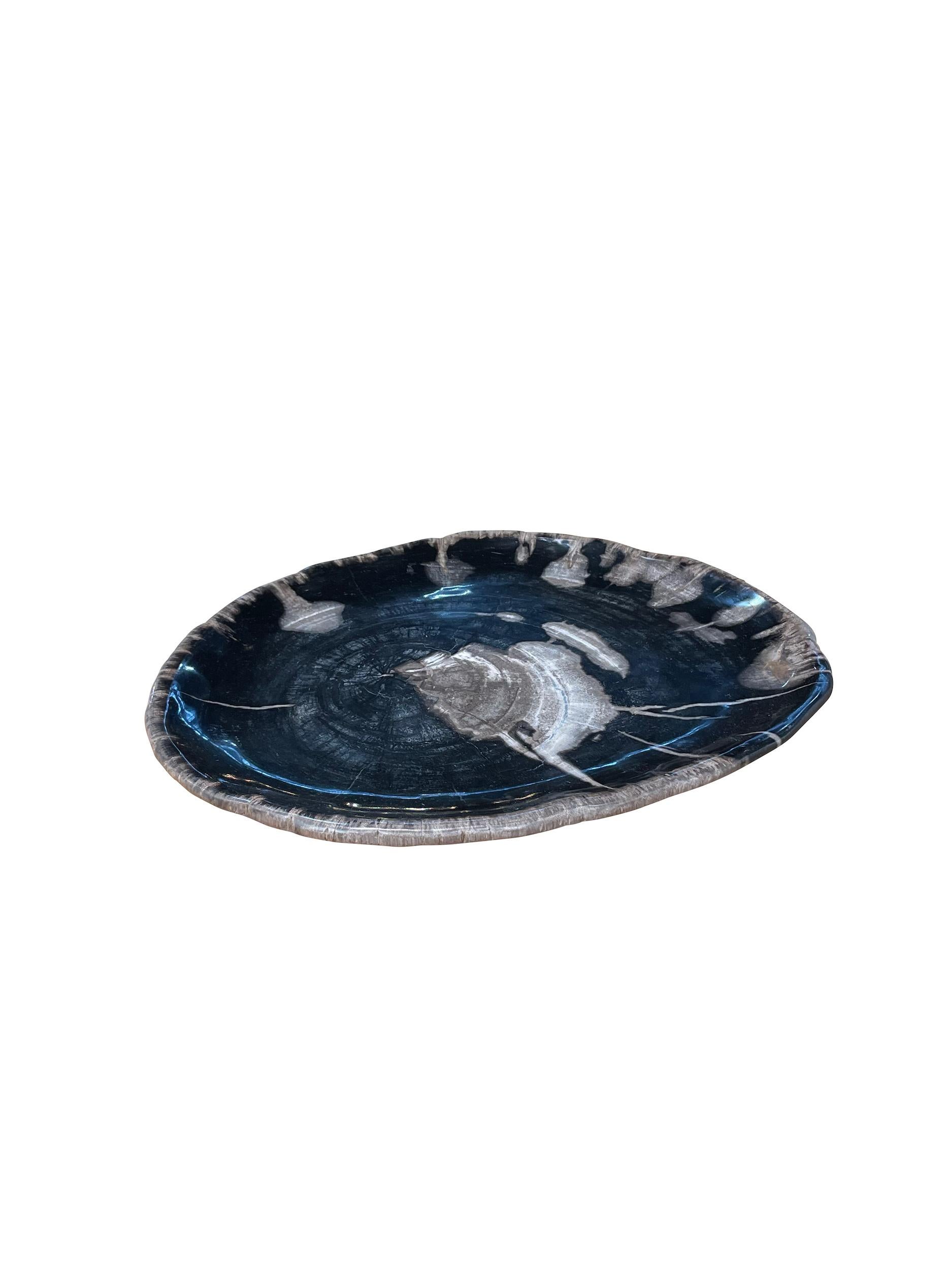 Contemporary Indonesian petrified wood plate.
Primarily black in color.
Free form in shape.
From a large collection of bowls, platters and plates.