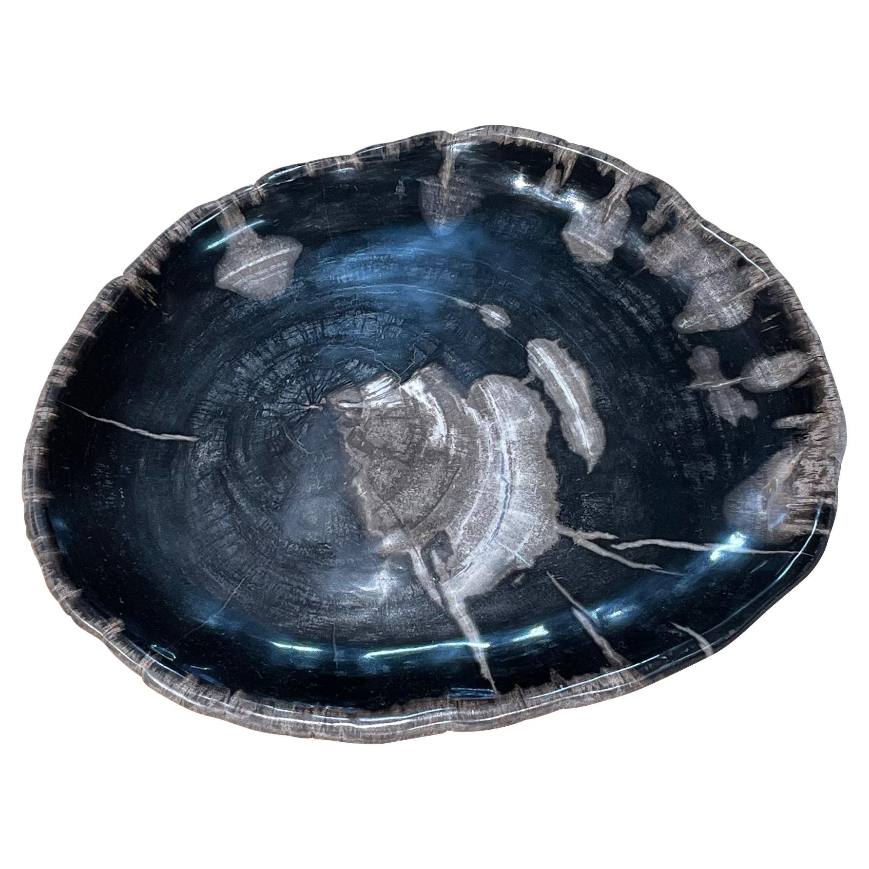 Black With Brown Petrified Wood Plate, Indonesia, Contemporary For Sale