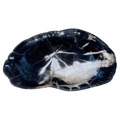 Black with Cream Petrified Wood Plate, Indonesia, Contemporary