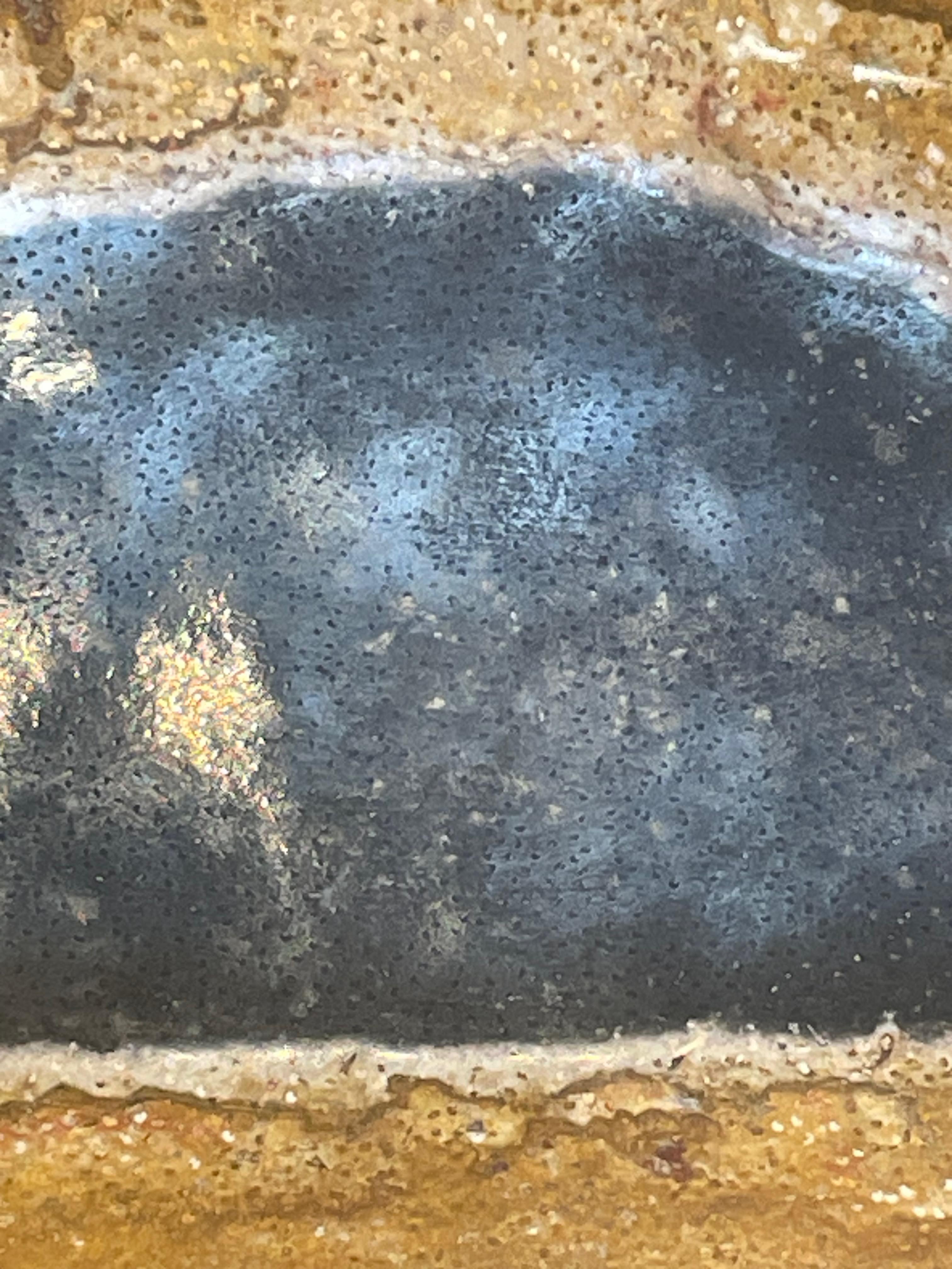Indonesian Black With Gold Border Petrified Palm Tree Platter, Indonesia, Prehistoric