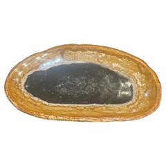 Black With Gold Border Petrified Palm Tree Platter, Indonesia, Prehistoric