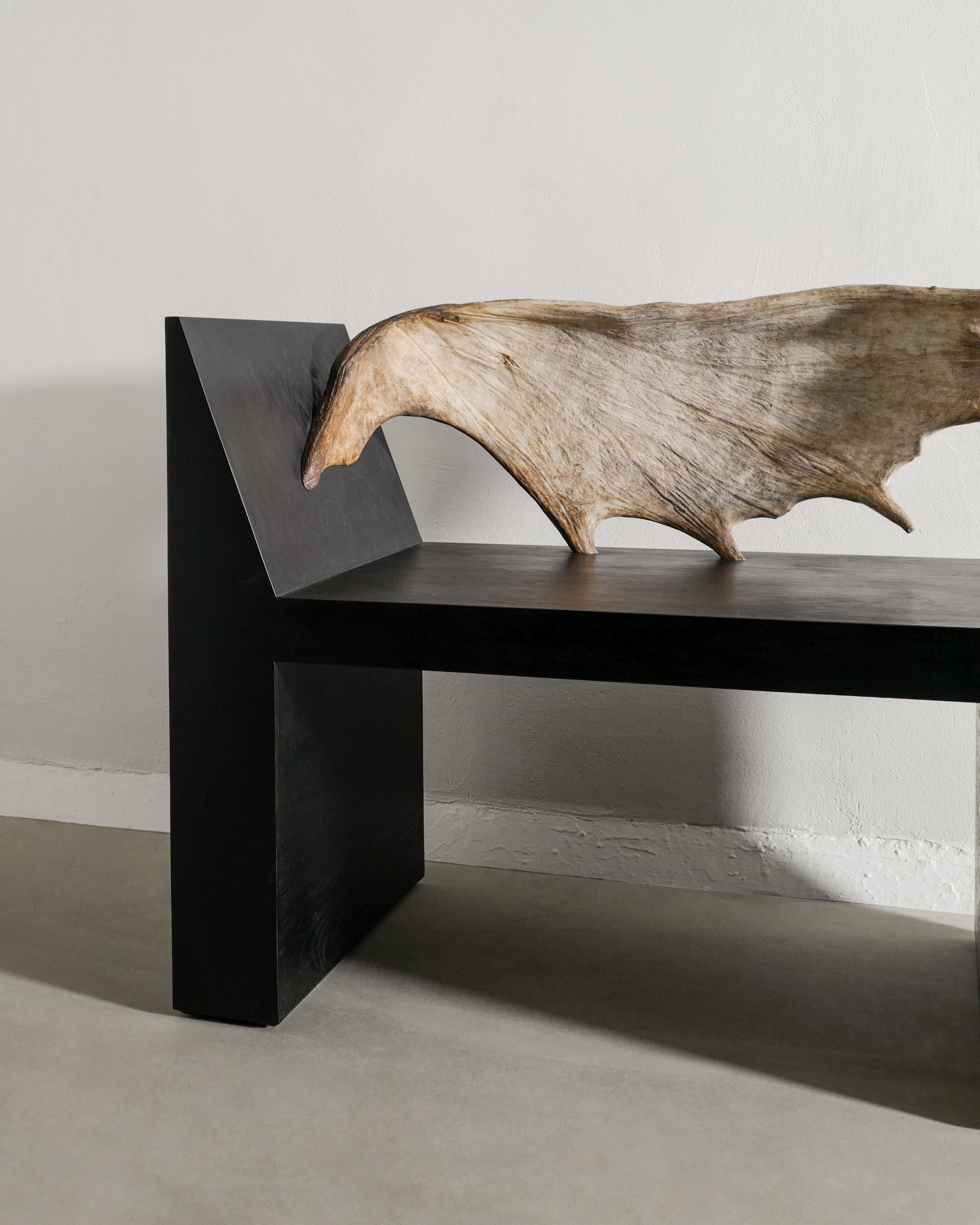 Modern Black Wooden Contemporary 
