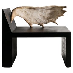 Banco contemporáneo "Tumba" de madera negra contrachapada y cuerno de Rick Owens, 2007