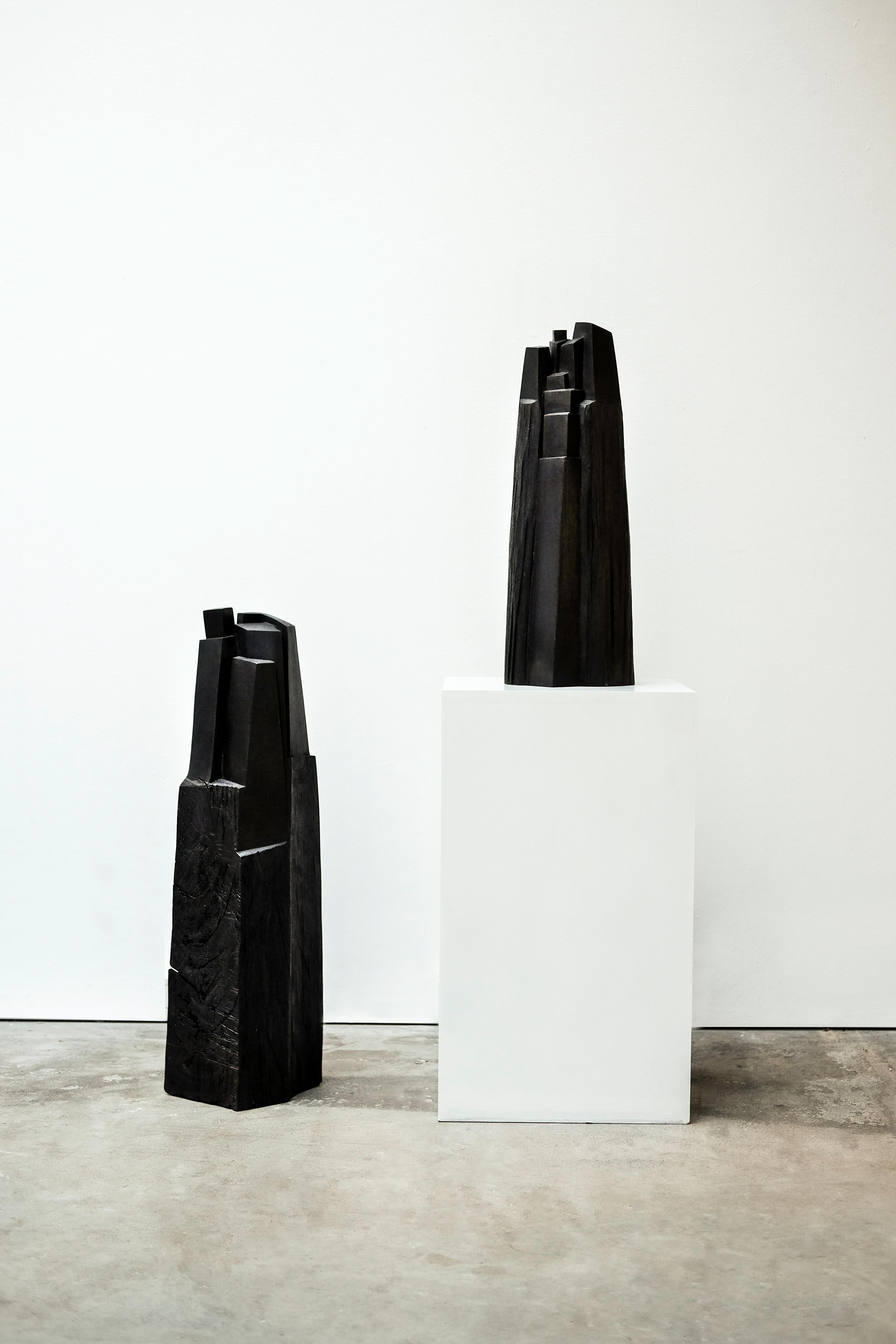 Sculture in legno nero 