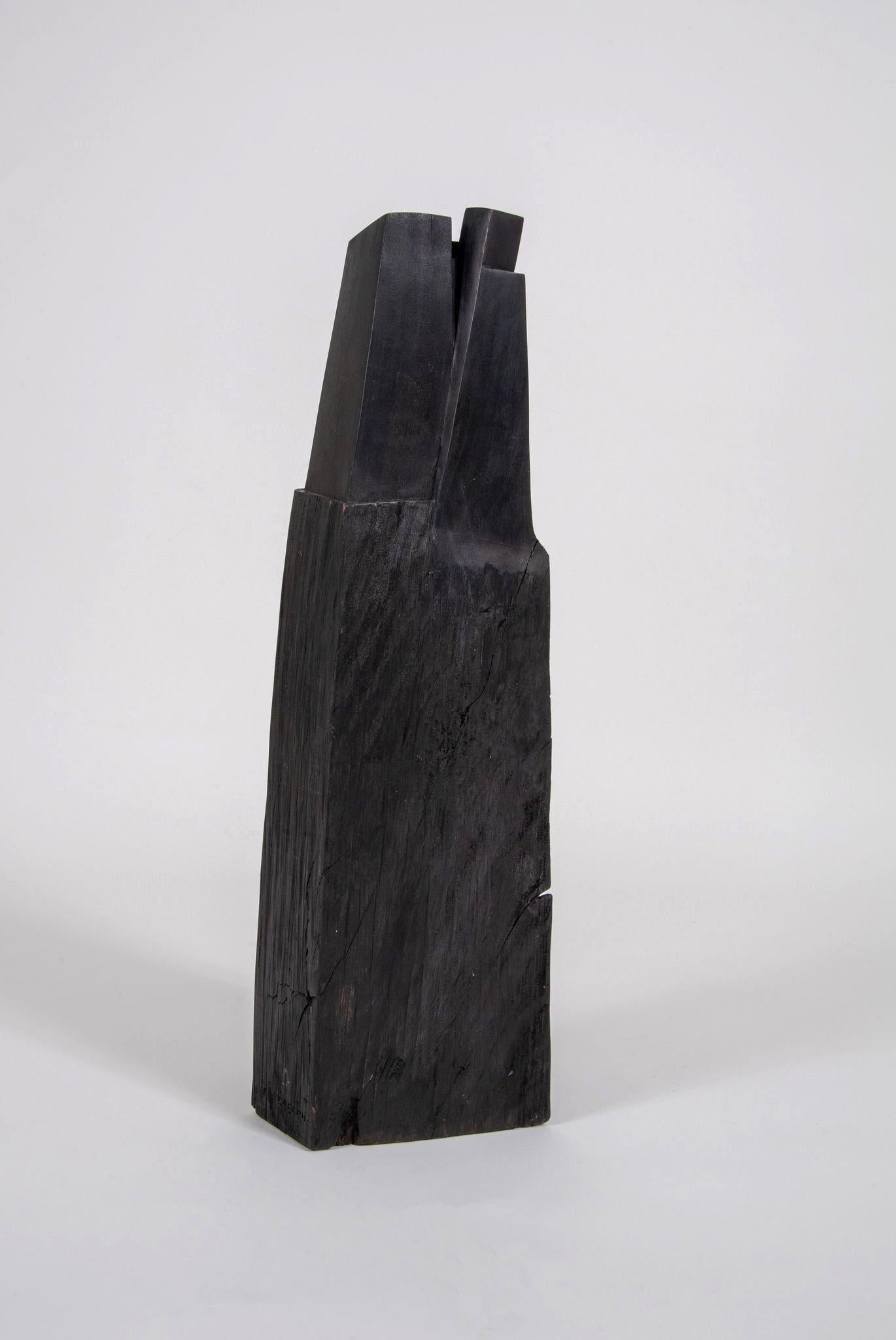Black Wooden Sculptures 