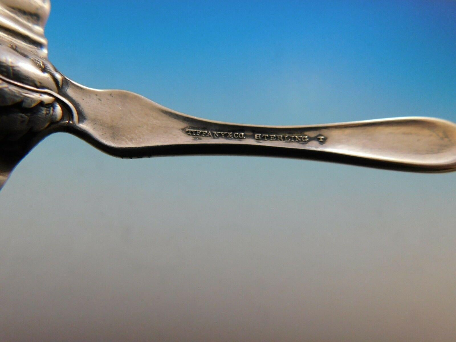 Blackberry von Tiffany & Co. Sterlingsilber-Zuckersieber mit durchbohrtem Saum 2