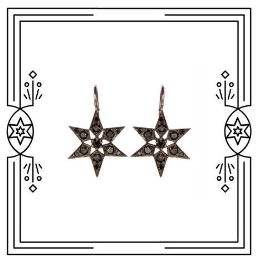 Round Cut Blackbird and the Snow - Black Diamond, White Gold 'Fancy Star' Earrings