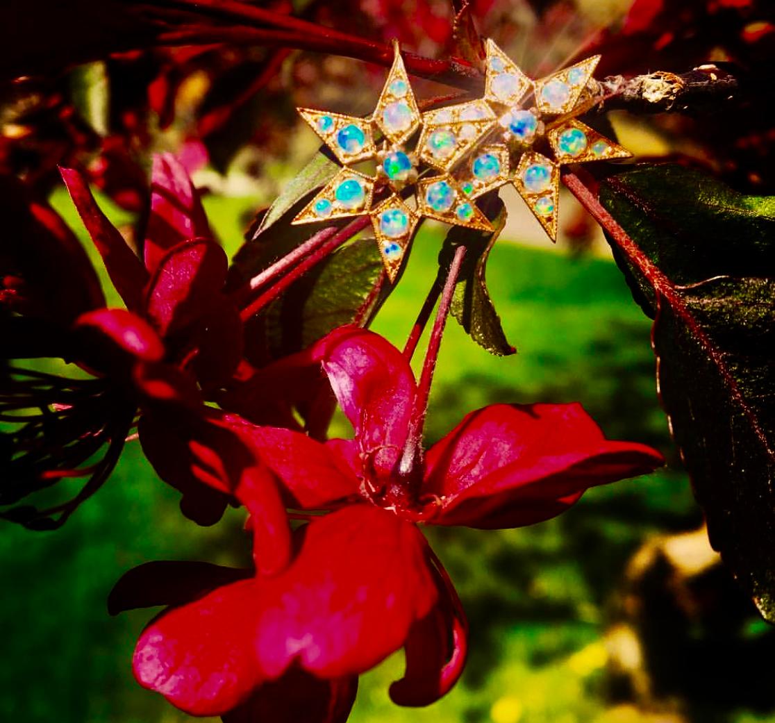 Artist Blackbird and the Snow - Rose gold opal Star Victorian Vogue earrings 