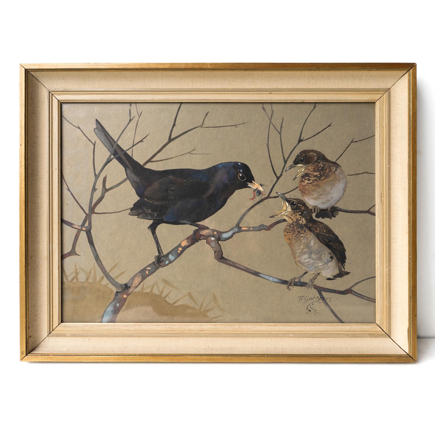 ORIGINAL WATERCOLOUR BIRD PAINTING BY RALSTON R. B. GUDGEON R.S.W. SCOTTISH (1910-1984)
A masterful depiction of a blackbird feeding his young on a branch. The artist has really captured the character of the birds with great skill whilst also