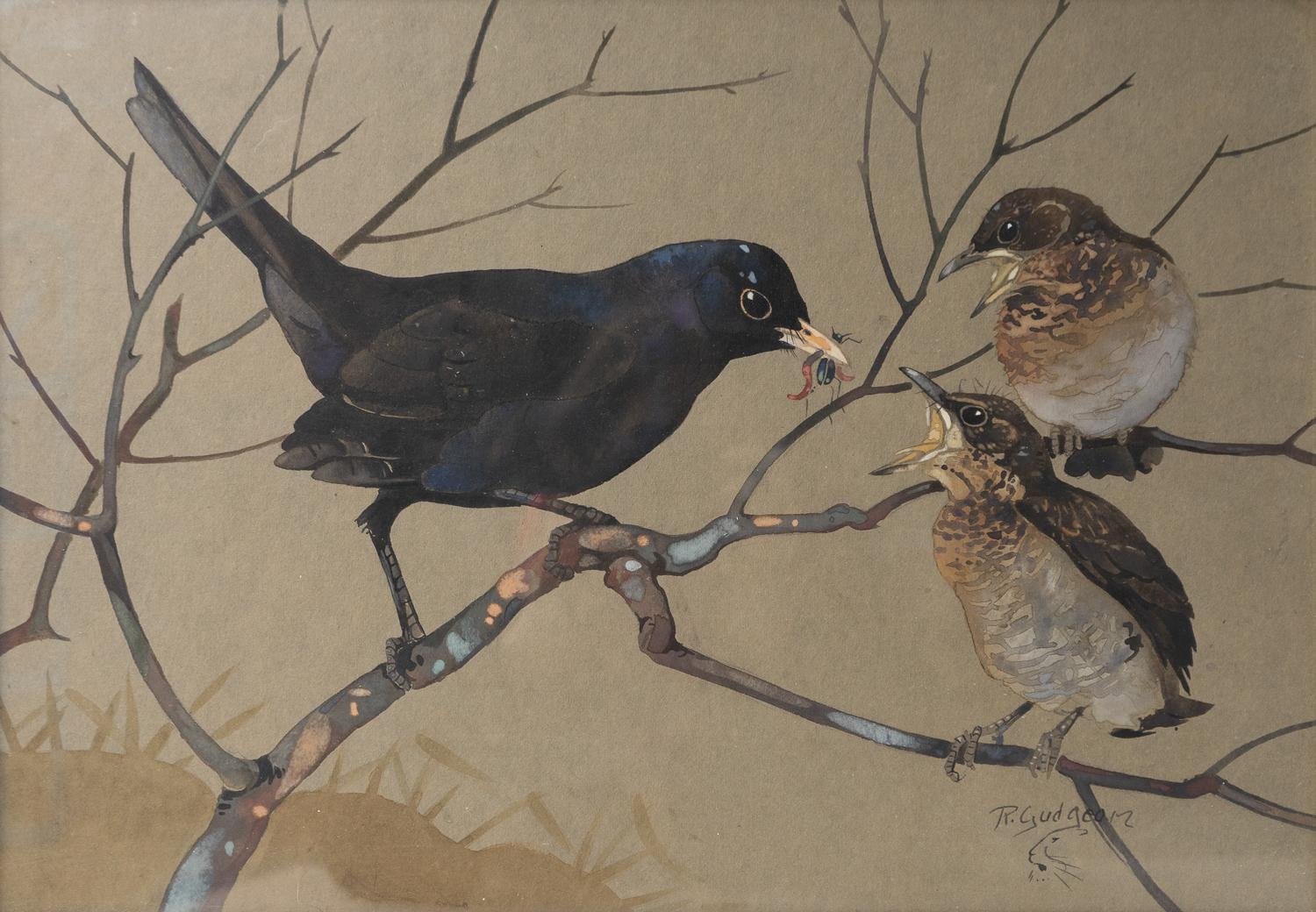 Scottish 'Blackbird Feeding Young', Vintage Watercolour Painting By RALSTON GUDGEON RSW