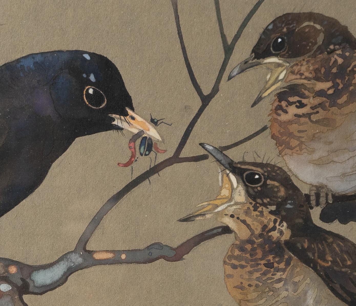 Hand-Painted 'Blackbird Feeding Young', Vintage Watercolour Painting By RALSTON GUDGEON RSW