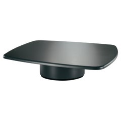 Blackbird Low Coffee Table in Matte Lacquered Wood