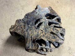 Blackened Organic Teak Root Sofa Table/ Brutalism Coffee Table, 2021