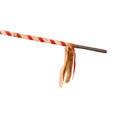 Blackfeet Style Lance