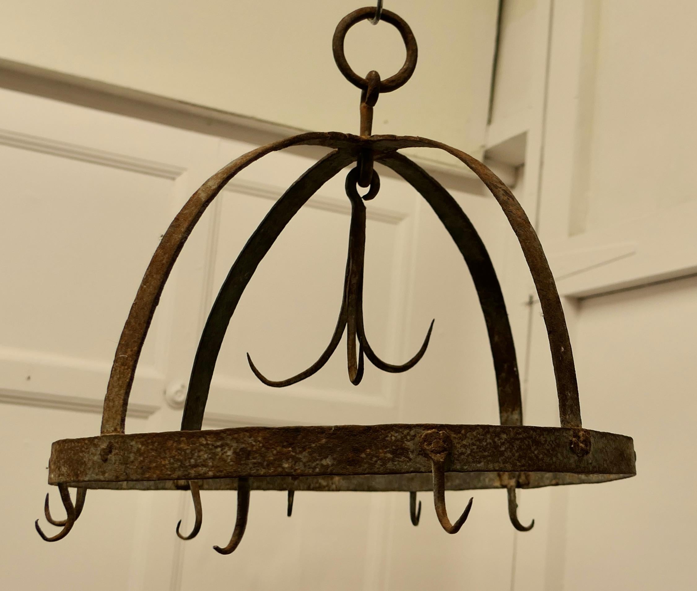 Blacksmith Made Iron Game Hanger, Kitchen Utensils or Pot Hanger 1