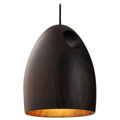 Blackwood Oak Pendant by Ross Gardam