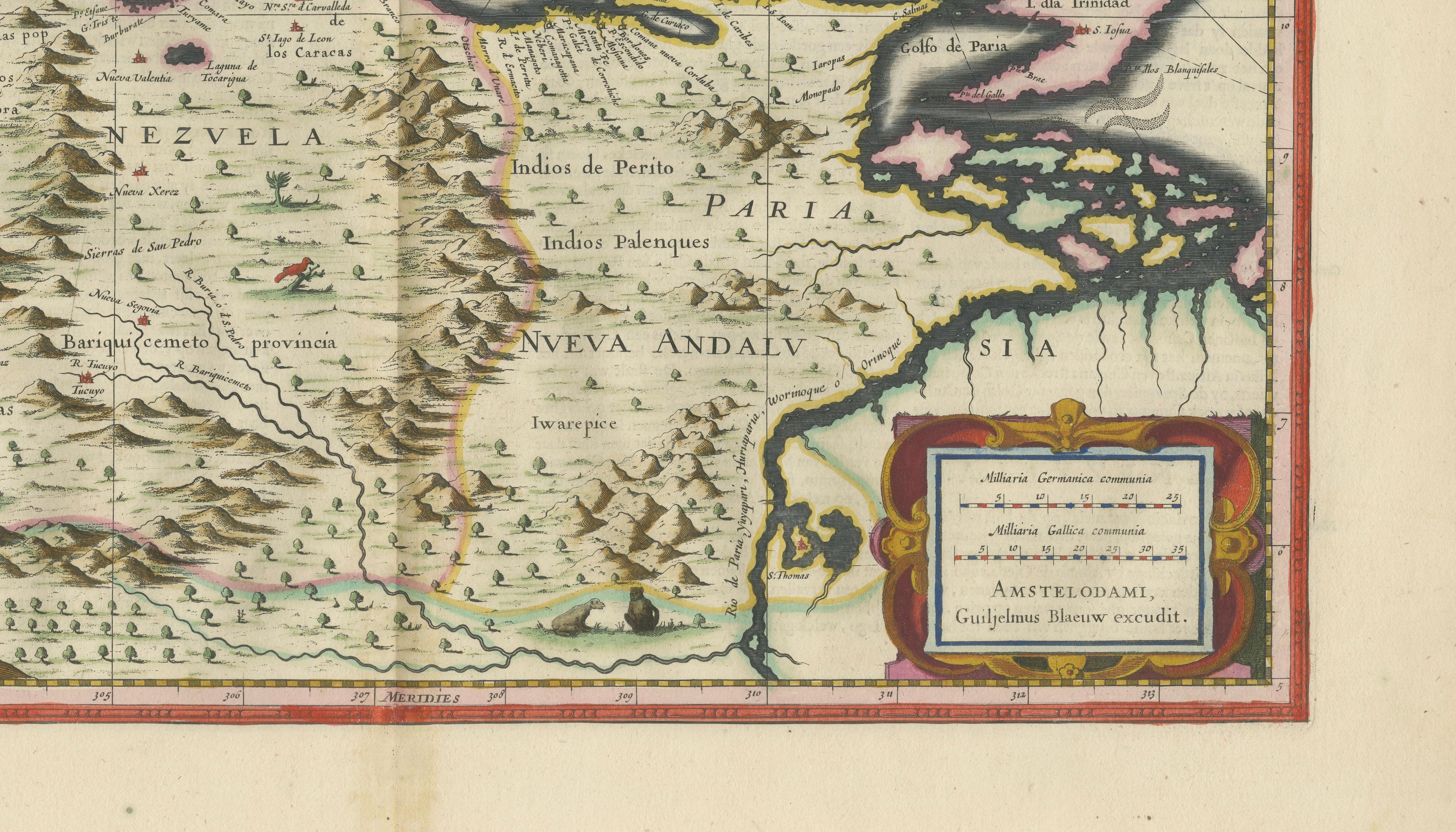 Blaeu Venezuela Map – Decorative Caribbean & Nueva Andalusia Chart 1642