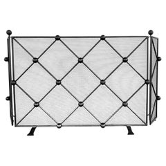 Blagny Fireplace Screen