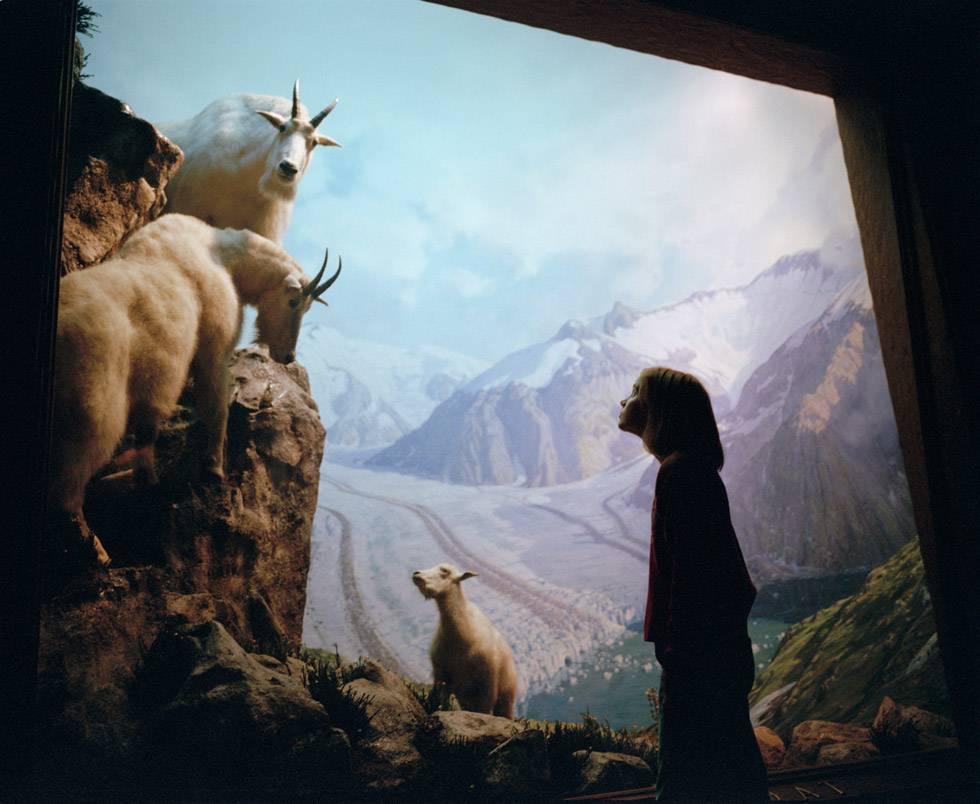 Blake Fitch Portrait Photograph – Katie im Museum für Naturgeschichte