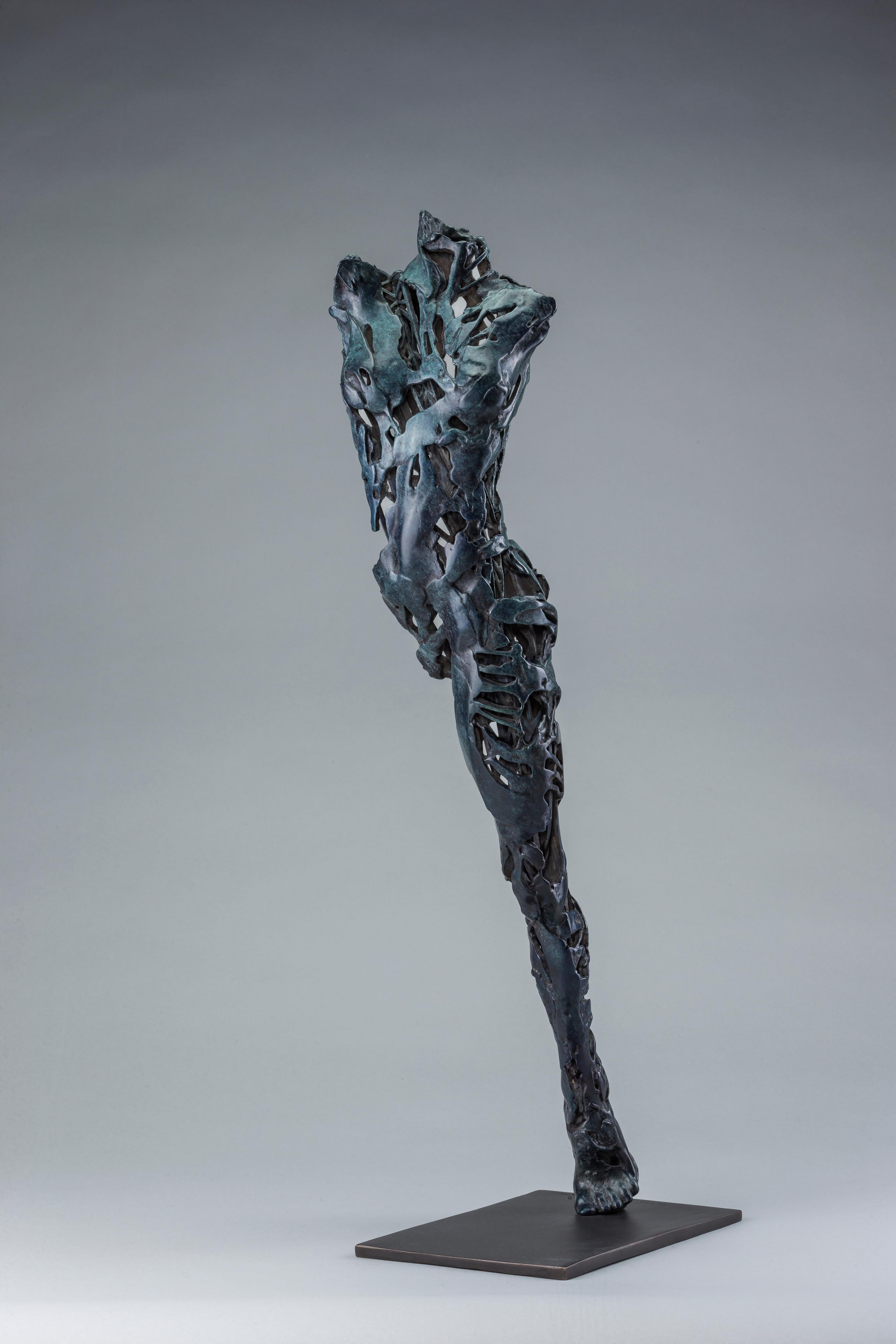 Andromeda Series: Devorah 62

Digital 3D Printed in wax polymer Cast

Final bronze case produced at ArtCast Georgetown Ontario, Canada 2018

Bronze

Monaco 2013

24.4 x 4.7 x 7.9 inches  

Edition size: 3 plus 1 AP

ARTIST STATEMENT:

