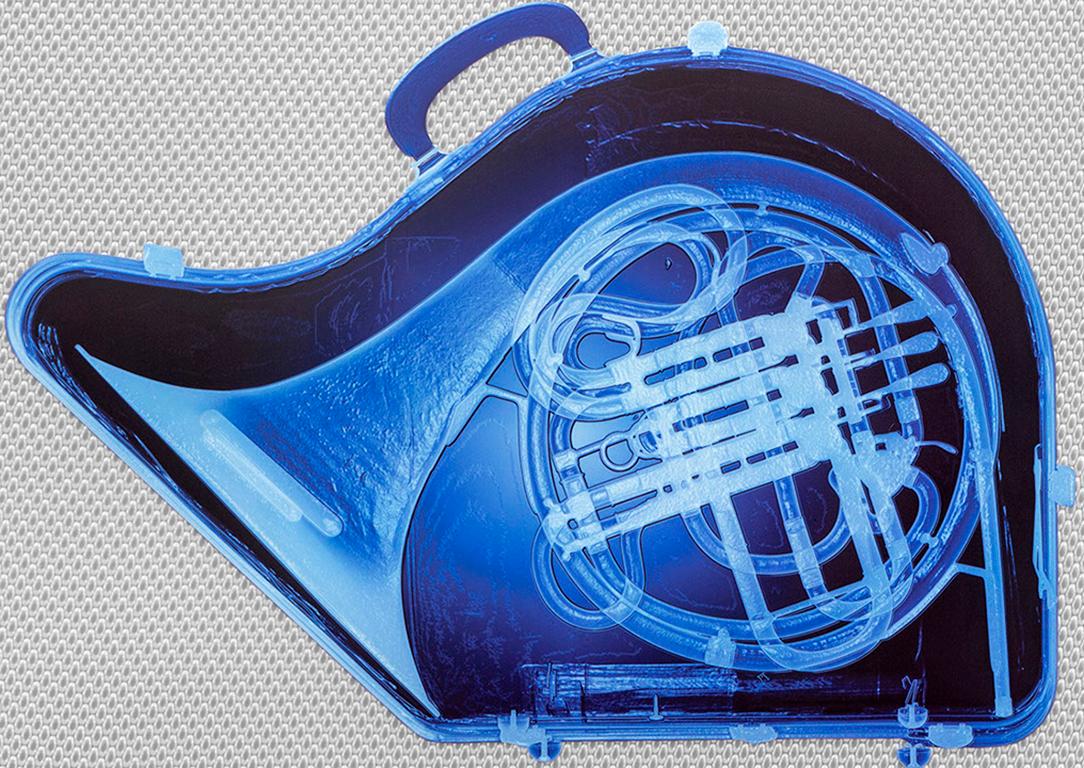 blue french horn for sale